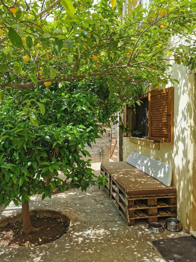 Villa Sofia Anavyssos Exterior photo